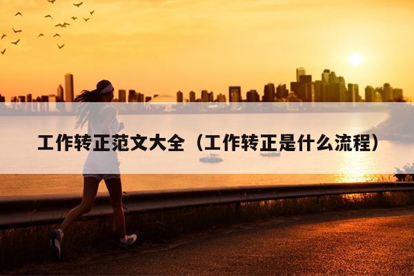 工作转正范文大全(工作转正是什么流程)