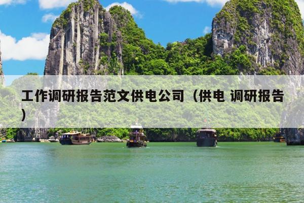 工作调研报告范文供电公司(供电 调研报告)