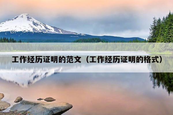 工作经历证明的范文(工作经历证明的格式)