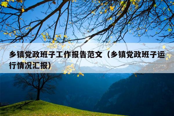 乡镇党政班子工作报告范文(乡镇党政班子运行情况汇报)
