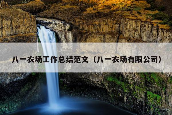 八一农场工作总结范文(八一农场有限公司)