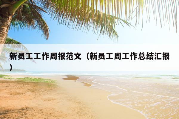 新员工工作周报范文(新员工周工作总结汇报)