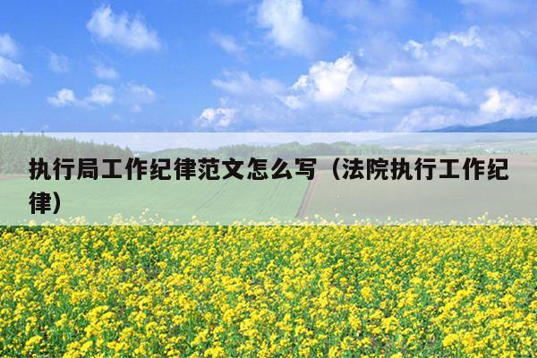 执行局工作纪律范文怎么写(法院执行工作纪律)