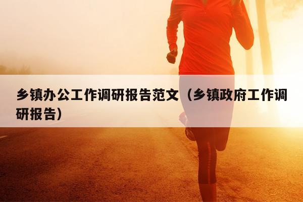 乡镇办公工作调研报告范文(乡镇政府工作调研报告)