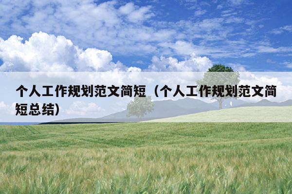 个人工作规划范文简短(个人工作规划范文简短总结)