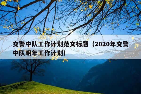 交警中队工作计划范文标题(2020年交警中队明年工作计划)