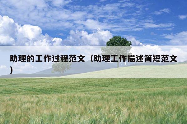 助理的工作过程范文(助理工作描述简短范文)