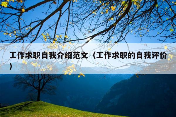 工作求职自我介绍范文(工作求职的自我评价)