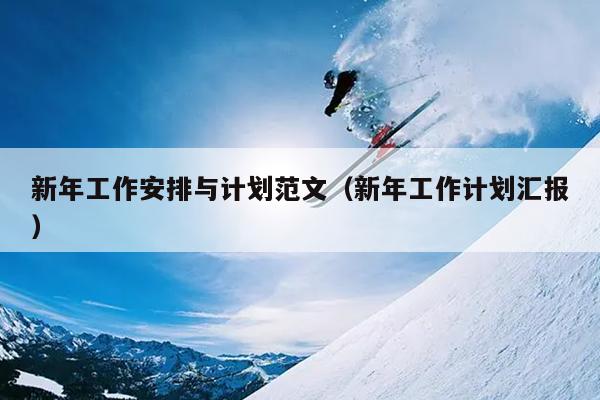 新年工作安排与计划范文(新年工作计划汇报)