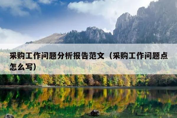 采购工作问题分析报告范文(采购工作问题点怎么写)