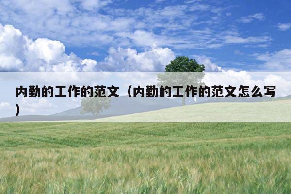 内勤的工作的范文(内勤的工作的范文怎么写)