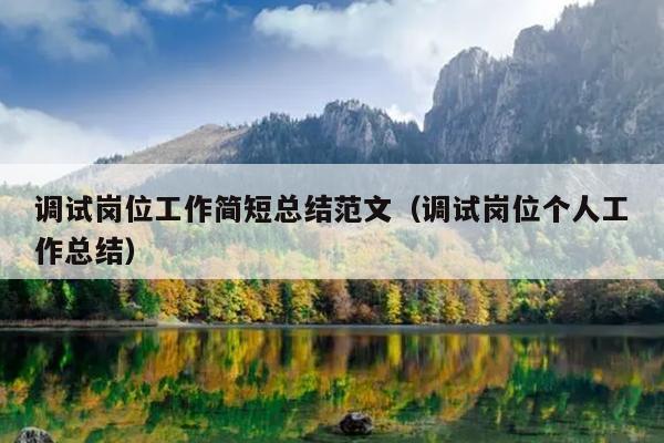 调试岗位工作简短总结范文(调试岗位个人工作总结)