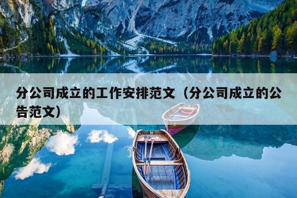 分公司成立的工作安排范文(分公司成立的公告范文)