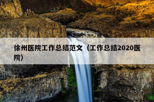 徐州医院工作总结范文(工作总结2020医院)
