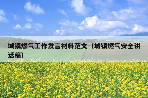 城镇燃气工作发言材料范文(城镇燃气安全讲话稿)