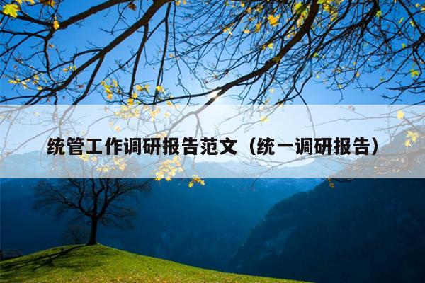 统管工作调研报告范文(统一调研报告)