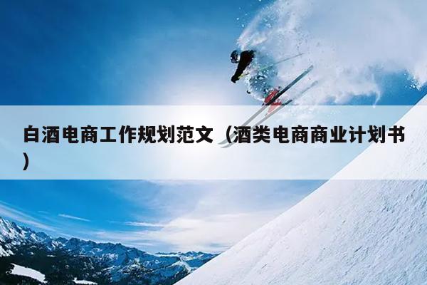 白酒电商工作规划范文(酒类电商商业计划书)