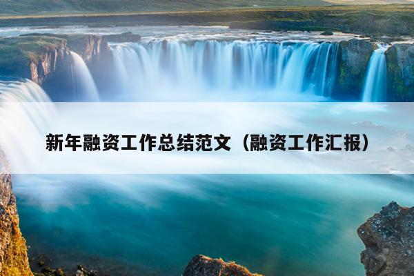 新年融资工作总结范文(融资工作汇报)