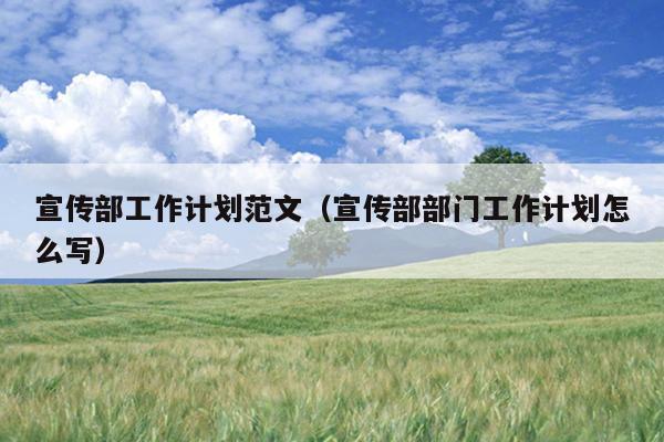 宣传部工作计划范文(宣传部部门工作计划怎么写)