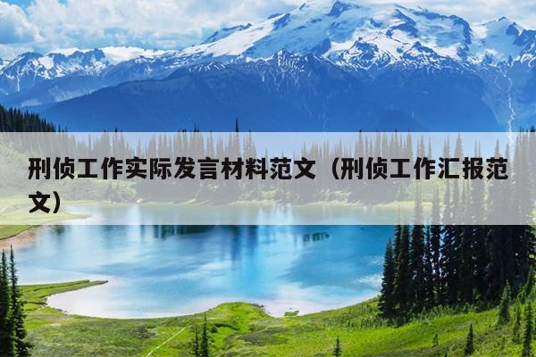 刑侦工作实际发言材料范文(刑侦工作汇报范文)