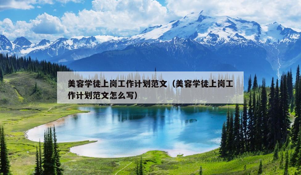 美容学徒上岗工作计划范文(美容学徒上岗工作计划范文怎么写)