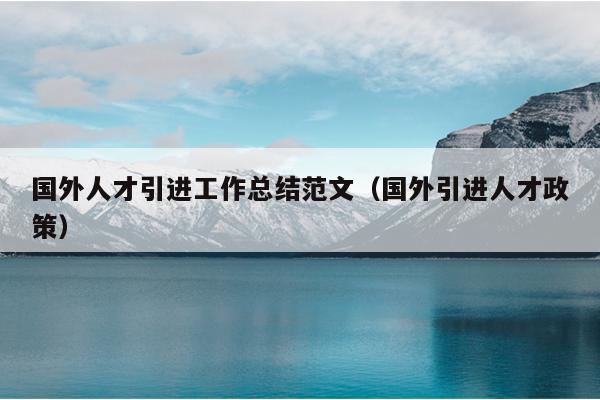 国外人才引进工作总结范文(国外引进人才政策)