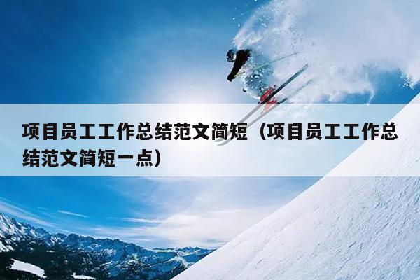 项目员工工作总结范文简短(项目员工工作总结范文简短一点)
