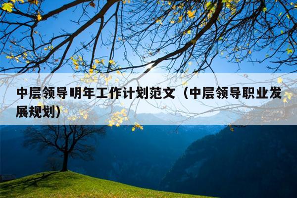 中层领导明年工作计划范文(中层领导职业发展规划)