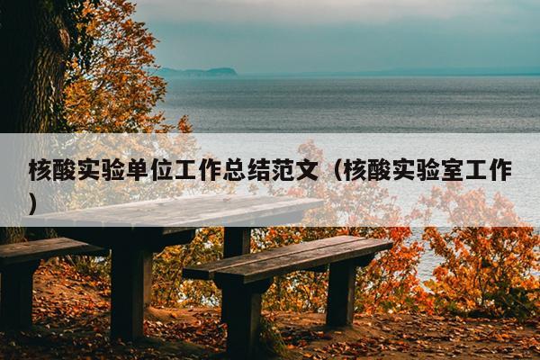 核酸实验单位工作总结范文(核酸实验室工作)