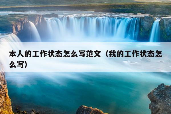 本人的工作状态怎么写范文(我的工作状态怎么写)