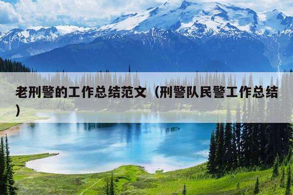 老刑警的工作总结范文(刑警队民警工作总结)