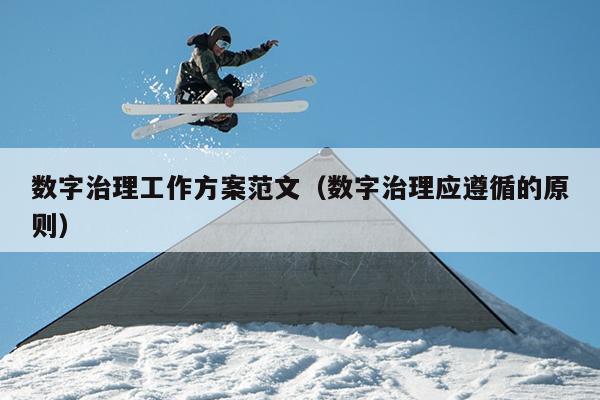 数字治理工作方案范文(数字治理应遵循的原则)