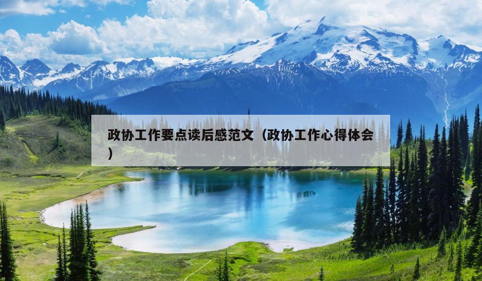 政协工作要点读后感范文(政协工作心得体会)