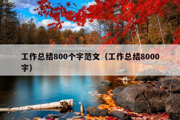 工作总结800个字范文(工作总结8000字)