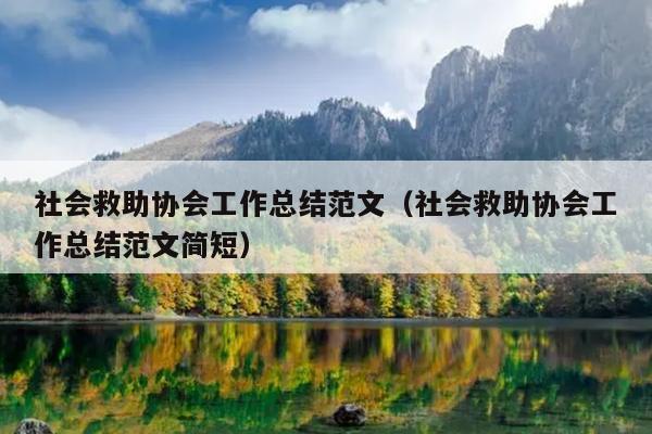社会救助协会工作总结范文(社会救助协会工作总结范文简短)