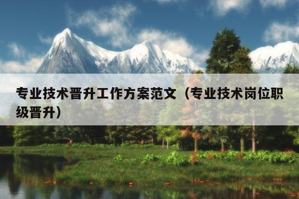 专业技术晋升工作方案范文(专业技术岗位职级晋升)