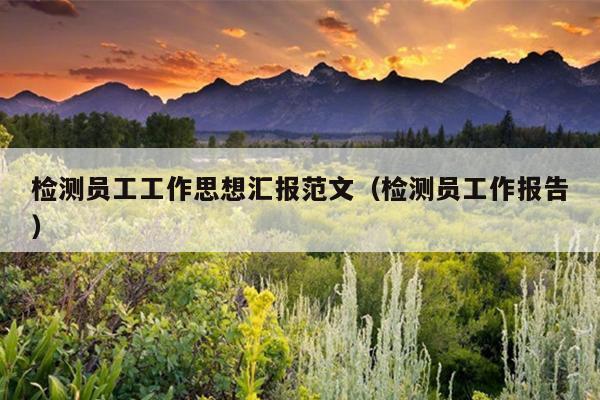 检测员工工作思想汇报范文(检测员工作报告)