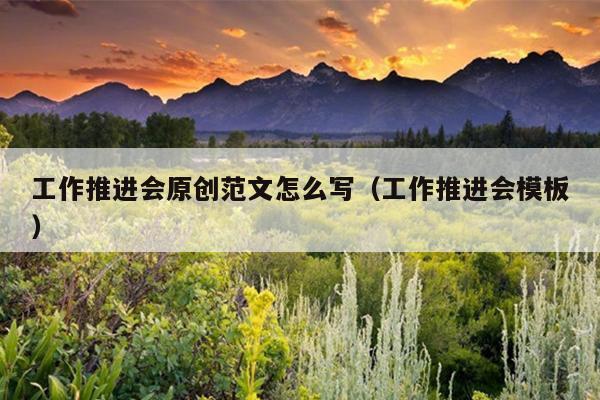 工作推进会原创范文怎么写(工作推进会模板)