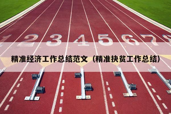 精准经济工作总结范文(精准抉贫工作总结)