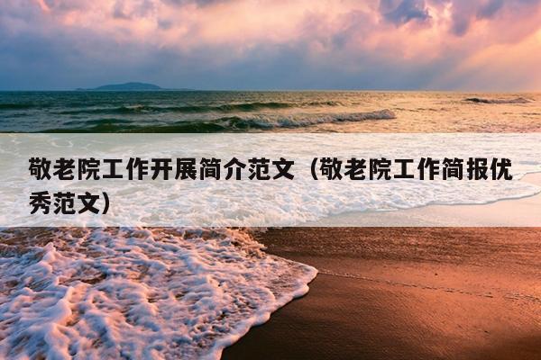 敬老院工作开展简介范文(敬老院工作简报优秀范文)