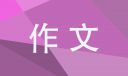 元旦见闻450字作文