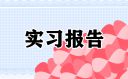 最新会计岗位优秀实习报告
