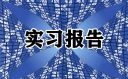 办公室文秘实习报告通用版