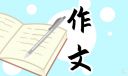 我有我的精彩初三作文