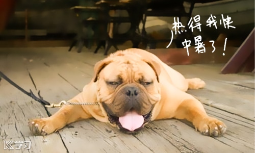 夏天到了心情语录