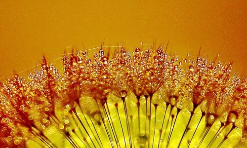 描写深秋的诗句 描写深秋的诗句