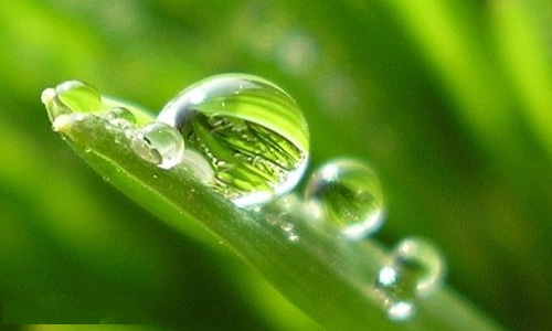 每天都要开心的名言佳句