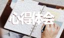 2022中国共青团发展历程心得体会